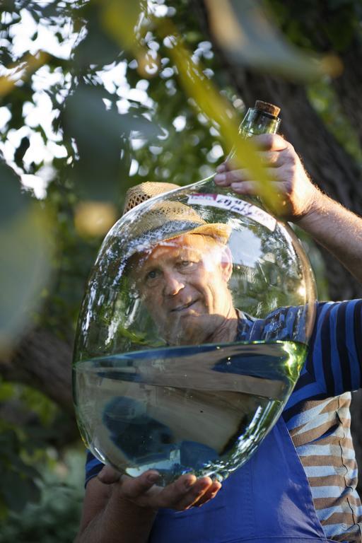 Naturparkbauernhof Poeltl Pollau Εξωτερικό φωτογραφία